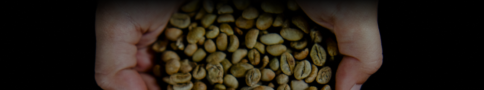 Coffee of Nusantara - Obalihara - Pelihara Nusantara